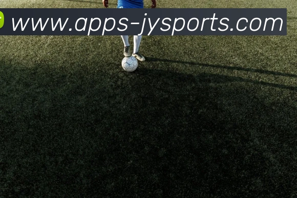 九游体育平台生态图